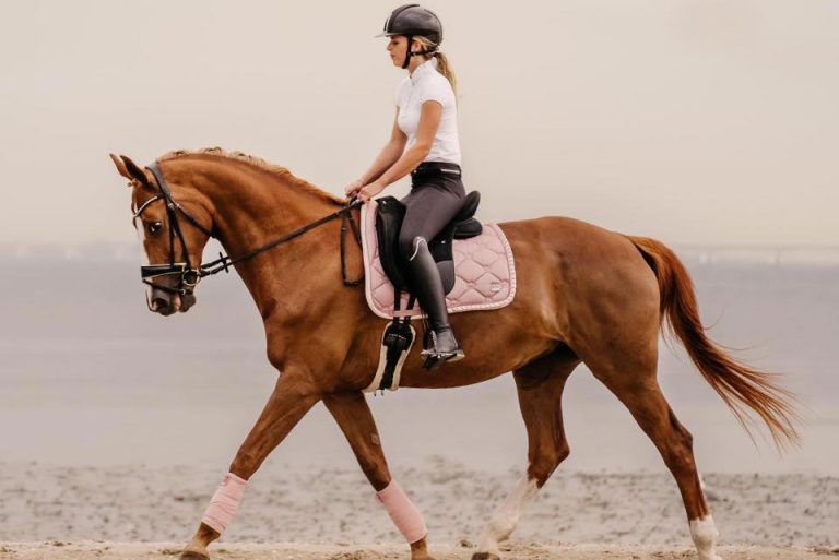 Overnachten met je paard aan zee