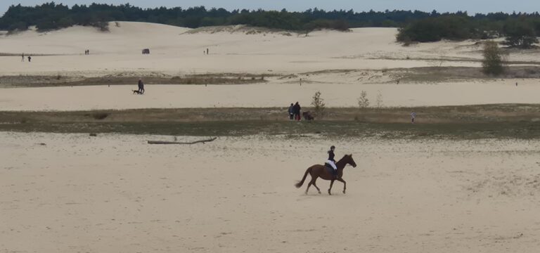 paardrijden in de duinen cadeaubon