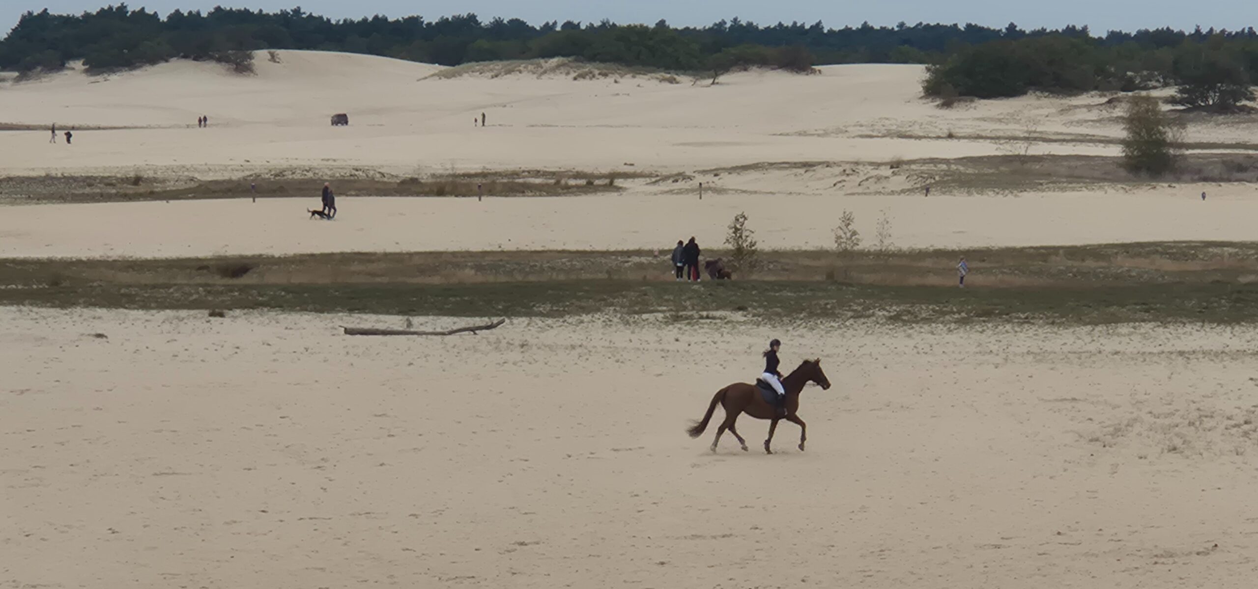 paardrijden in de duinen cadeaubon