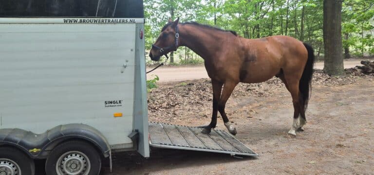 Vakantie met je paard in een vakantiehuisje: tips voor een onvergetelijk uitje