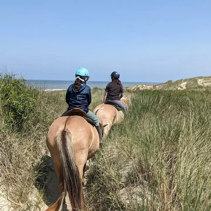 paardrijden-in-de-duinen-met je eigen paard