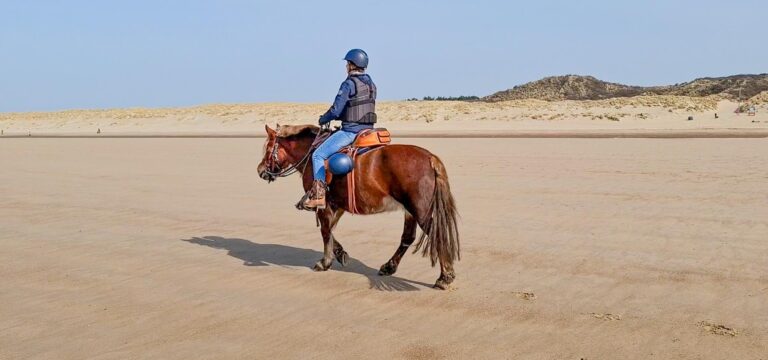 Vandaag is het zover: mijn eerste strandrit met mijn eigen paard