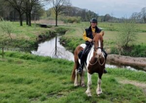 de kempen vakantiehuisje vakantie met je paard (7)