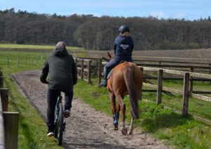de veluwe vakantiehuis met je paard overnachten